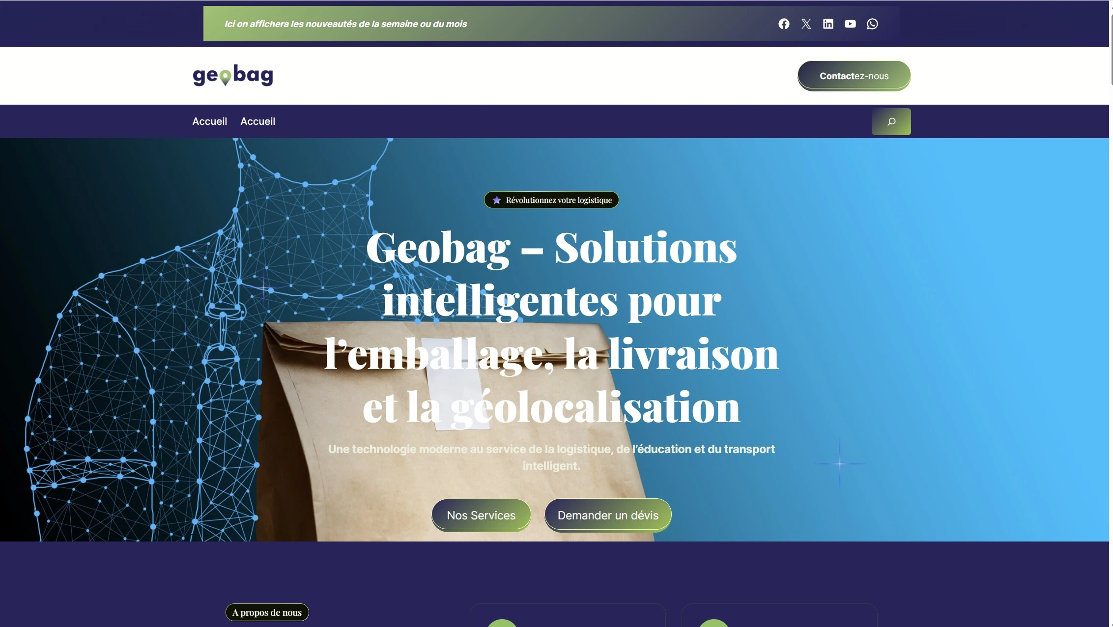 Site vitrine GeoBag développé sous WordPress